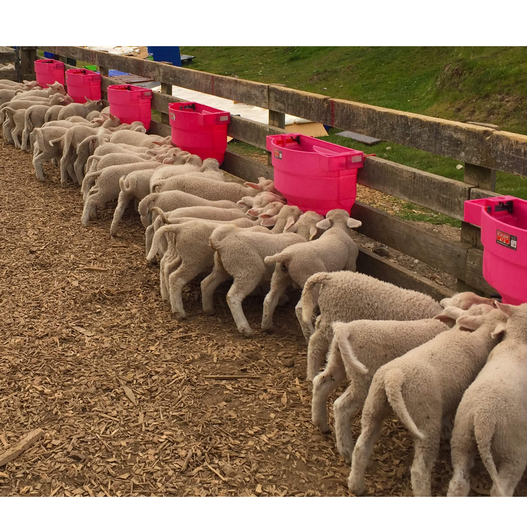 MILKBAR CUBO 10 TETINAS 36L CORDEROS/CABRITOS