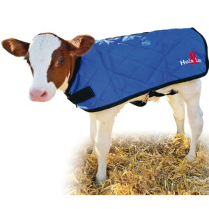 Chaqueta para terneros Holm&laue