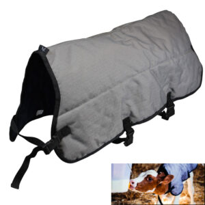 Manta primeras semanas de vida